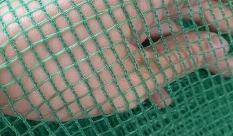 Lưới rào gà bao nhiêu tiền? Bảng giá & yếu tố ảnh hưởng