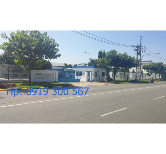 BÁO GIÁ LƯỚI THÉP HÀN