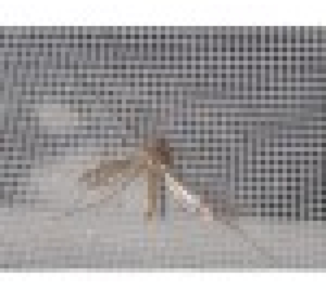 Lưới Inox chắn côn trùng