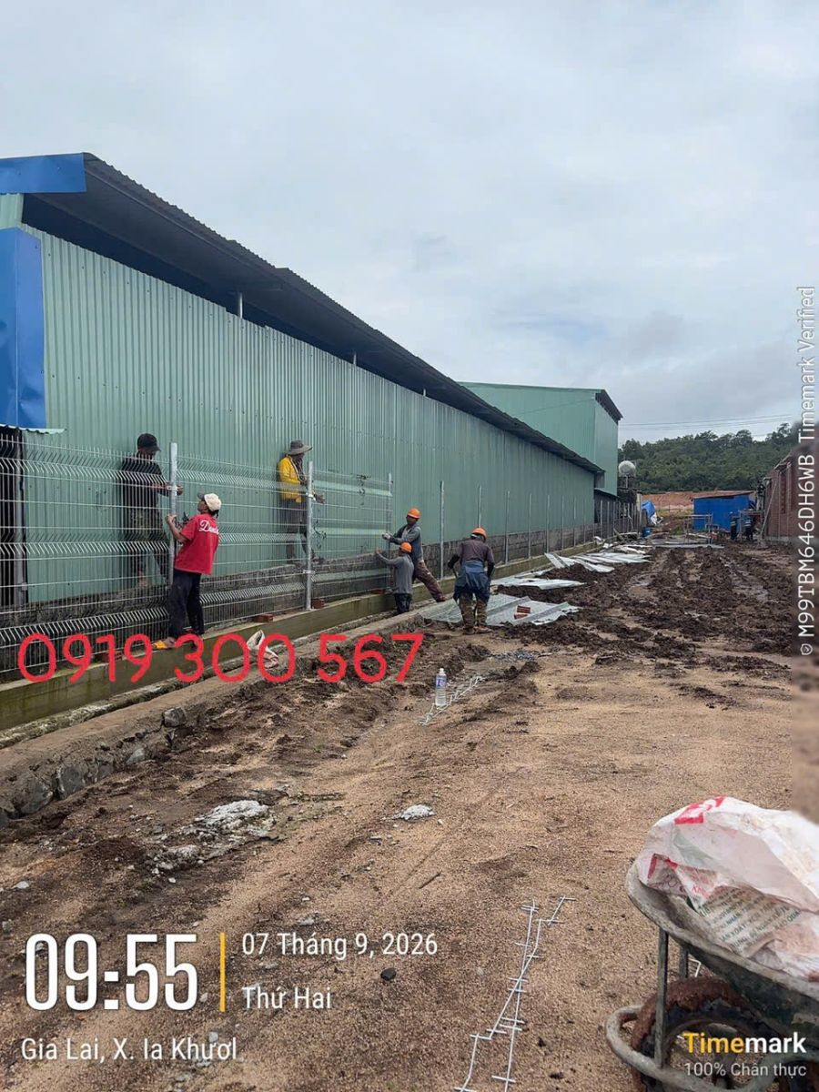 hàng rào lưới thép khu công nghiệp